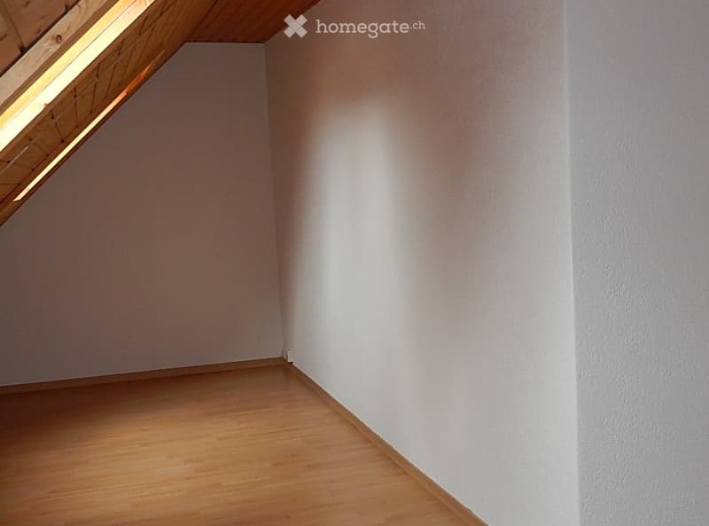 helle uns sonnige Dachwohnung an ruhiger Lage in Wettingen (5)