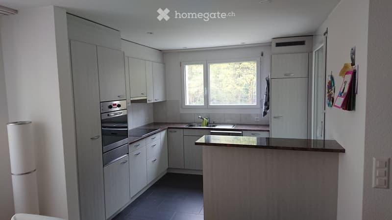 Modern kitchen with white cabinets, stainless steel oven, sink, and countertop, featuring large windows with a view of greenery.