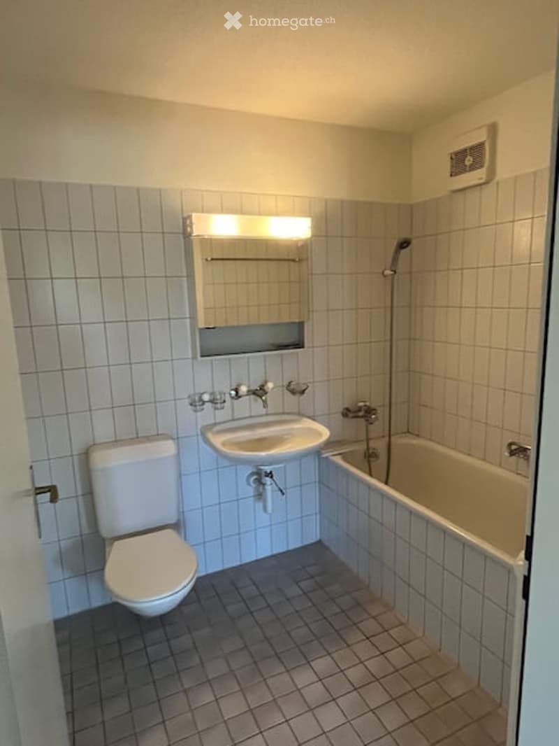 Bathroom has toilet, sink, and bathtub. Mirror is attached to wall above the sink.
