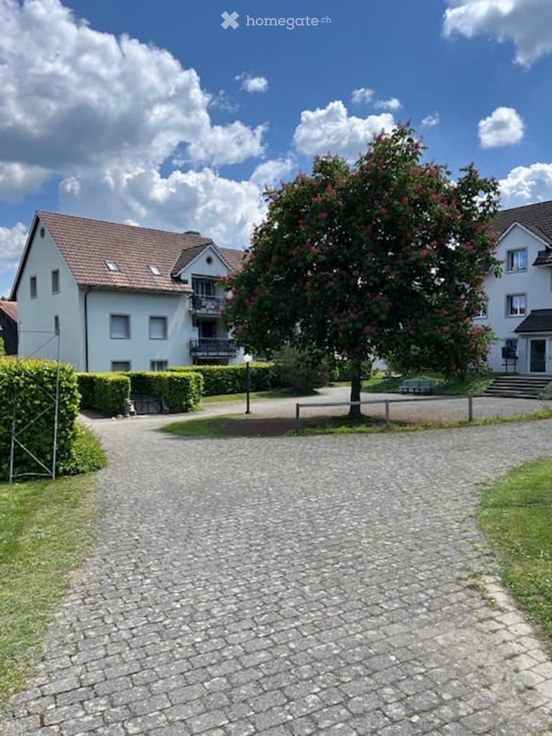 two-story building, paved driveway, fenced green garden, large tree, green bushes