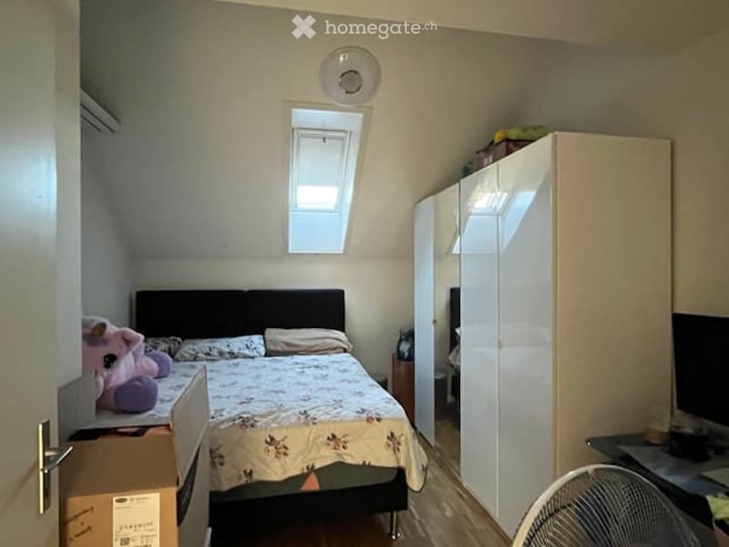 Bedroom with a bed, wardrobe, fan, and a screen. The room has a slanted ceiling and a skylight window.