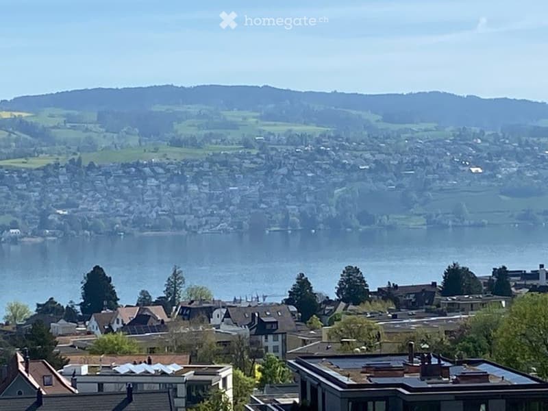 Aerial view of the lake, houses, trees, and hills with clear sky