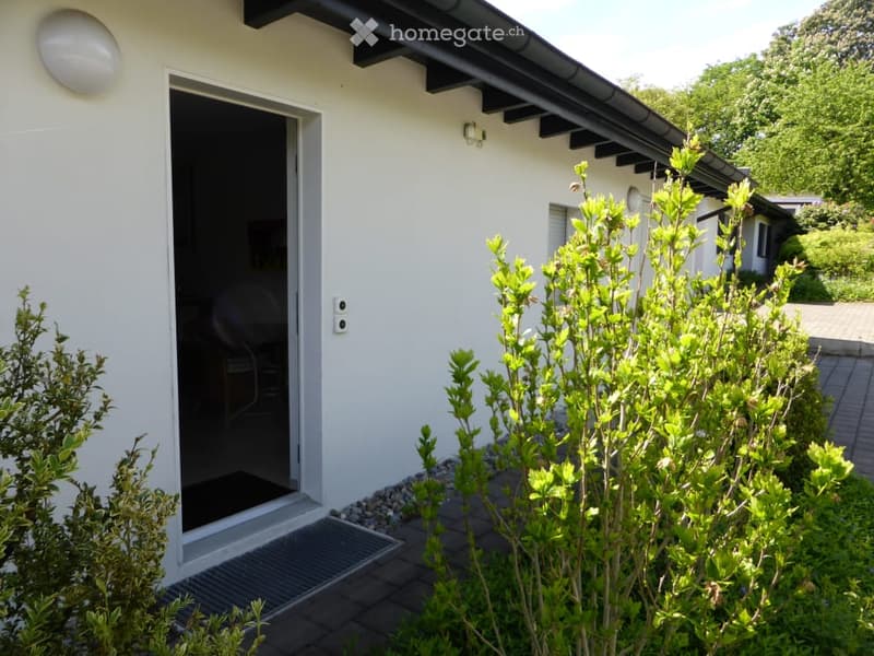 House. White single-story house with a modern design, featuring a large sliding glass door leading to a patio area, surrounded by greenery and a paved walkway.