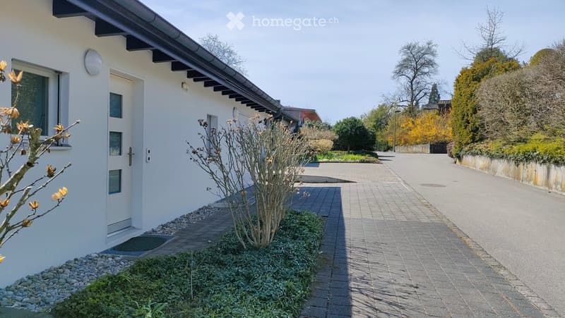 House. Modern single-story house with white exterior, large front door, small garden area with shrubs and a tree, and a paved driveway leading to the street.