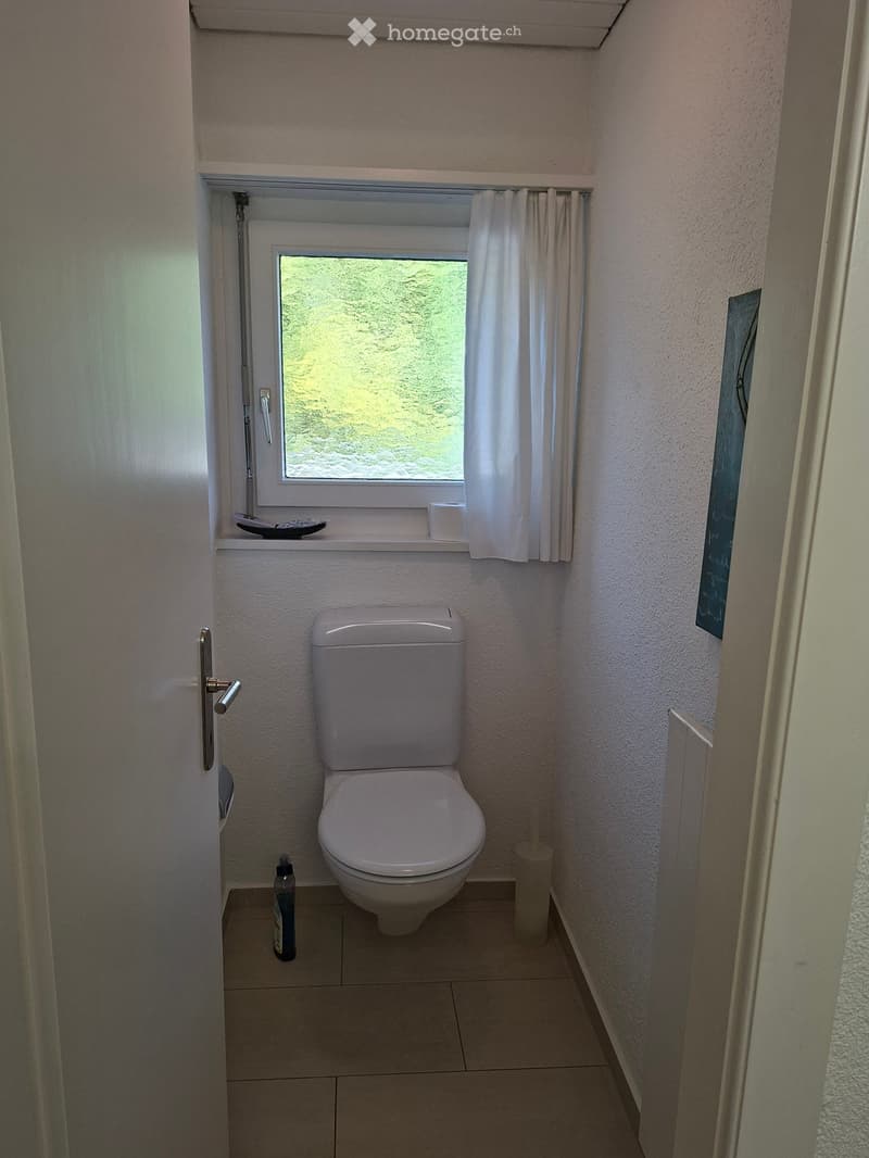 Bathroom. Small bathroom with a toilet, a window with a curtain, a bottle on the floor, and a cup on the windowsill.