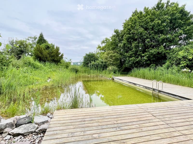 A wooden deck extends over a small pond surrounded by tall grasses and trees, with a small metal railing on one side.