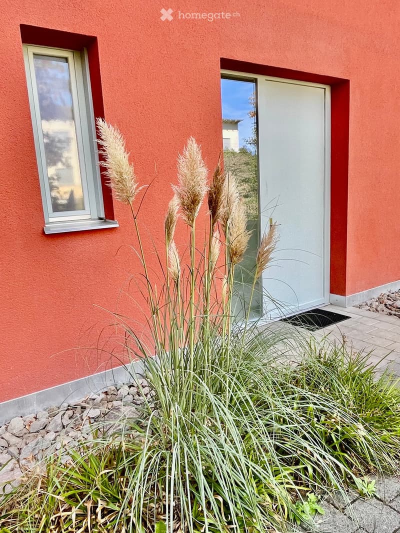 A small garden area with tall grasses and a modern house entrance featuring a white door and a window.