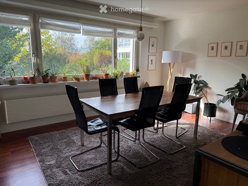 Bright dining area with a wooden dining table, black chairs, a floor lamp, potted plants, and picture frames on the wall.