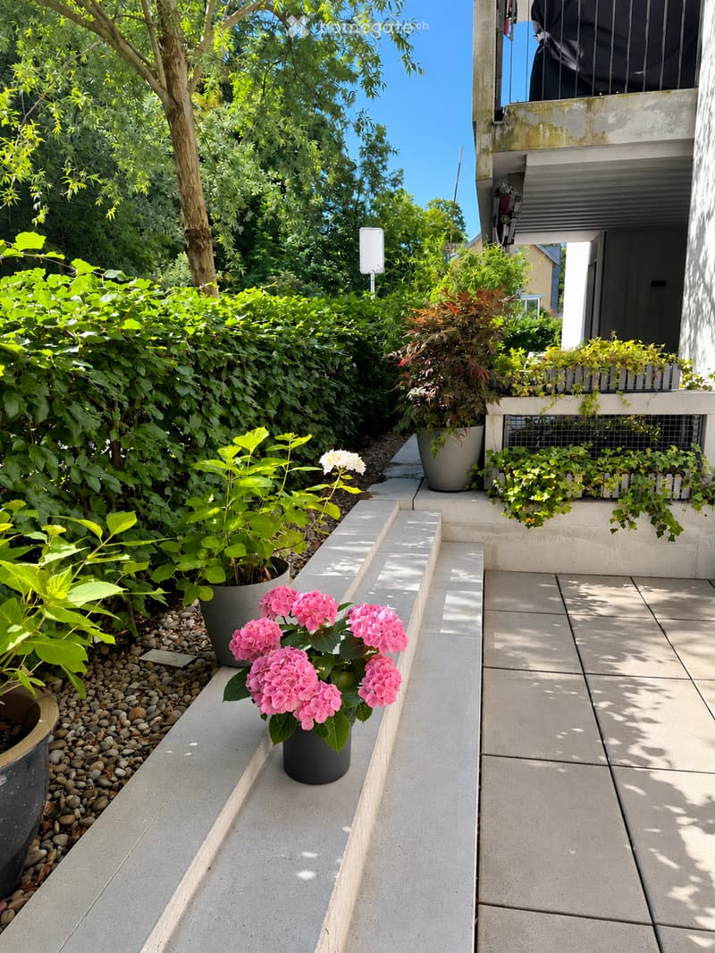 A well-maintained garden area with potted plants, including pink flowers, and a concrete pathway leading to a building entrance.