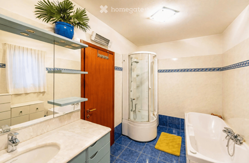 Modern bathroom with a white tiled shower stall, a bathtub, a sink with a mirror, and a small plant on a shelf above the sink.