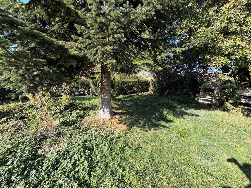 A well-maintained garden with a large tree, grass, shrubs, and a small stone structure, likely a barbecue or outdoor fireplace, surrounded by dense foliage and trees.