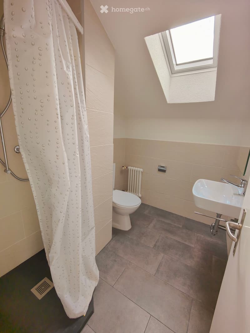 Modern bathroom with a toilet, sink, radiator, and a shower curtain. The room features light-colored tiles and a window with a skylight.