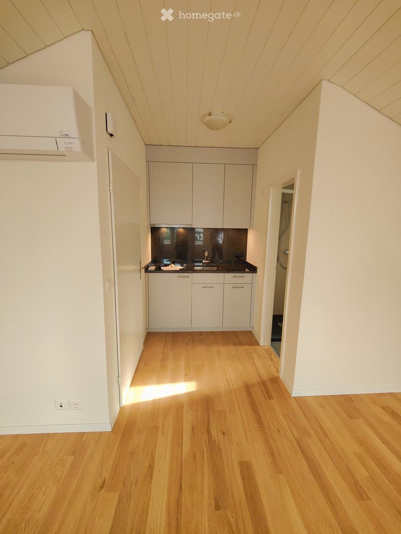 Empty room with light wooden flooring, white walls, and a small kitchen area with white cabinets and a sink.