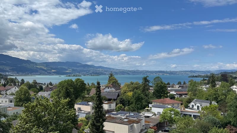 A panoramic view of a suburban neighborhood with houses, trees, and a lake in the background, surrounded by mountains under a partly cloudy sky.