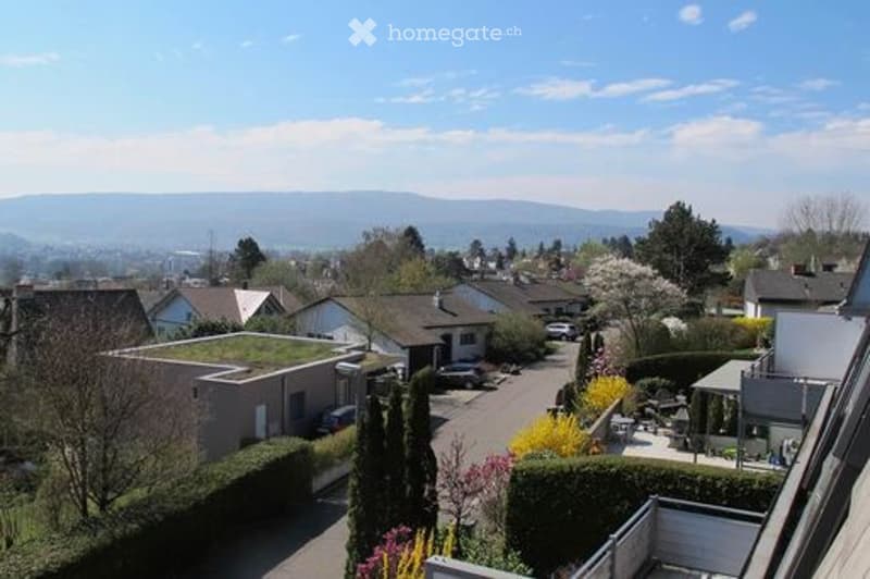 A peaceful suburban neighborhood with houses, gardens, and a clear blue sky. The view includes a mix of residential properties, trees, and a distant mountain range.