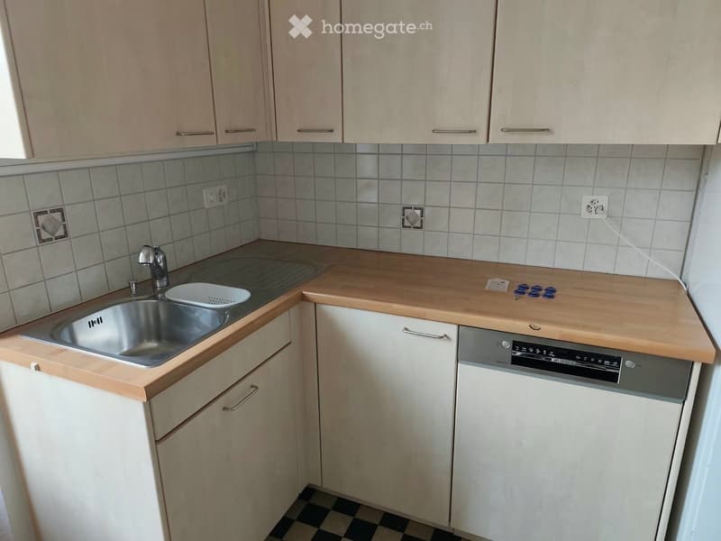 Modern kitchen with light wooden cabinets, stainless steel sink, and built-in dishwasher. Countertops are light wood, and the backsplash is tiled.