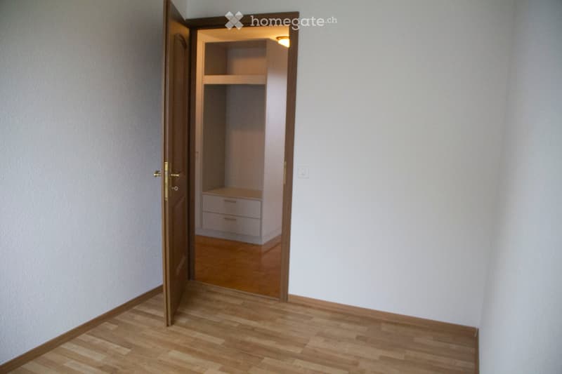Empty room with light-colored walls and wooden flooring, featuring an open closet with built-in shelves and drawers.