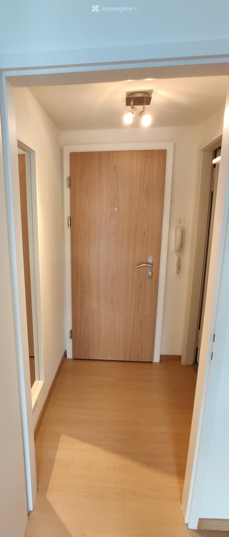 Empty hallway with wooden door, light-colored walls, and a ceiling light fixture.
