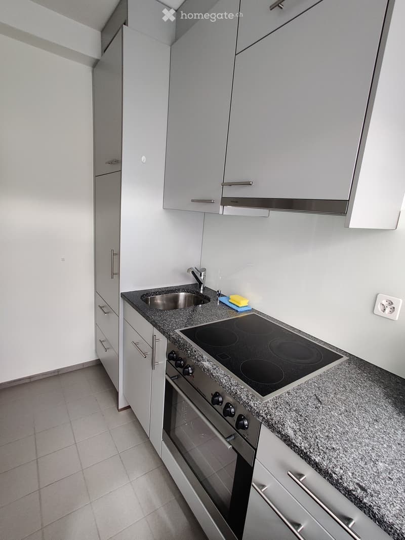 Modern kitchen with grey cabinets, granite countertop, induction cooktop, oven, and sink.