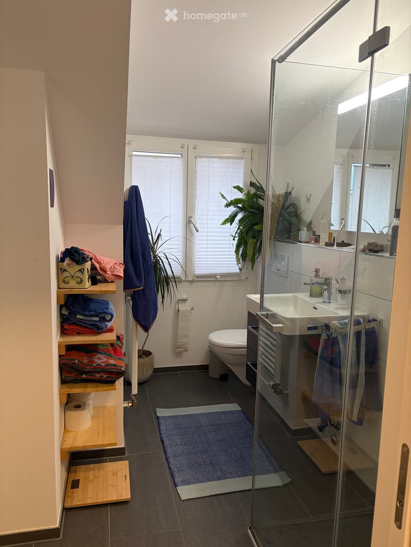 Modern bathroom with dark tiled floor, white walls, and a glass-enclosed shower. Features a toilet, sink with mirror, towel rack, and a small shelf with folded towels and a plant.