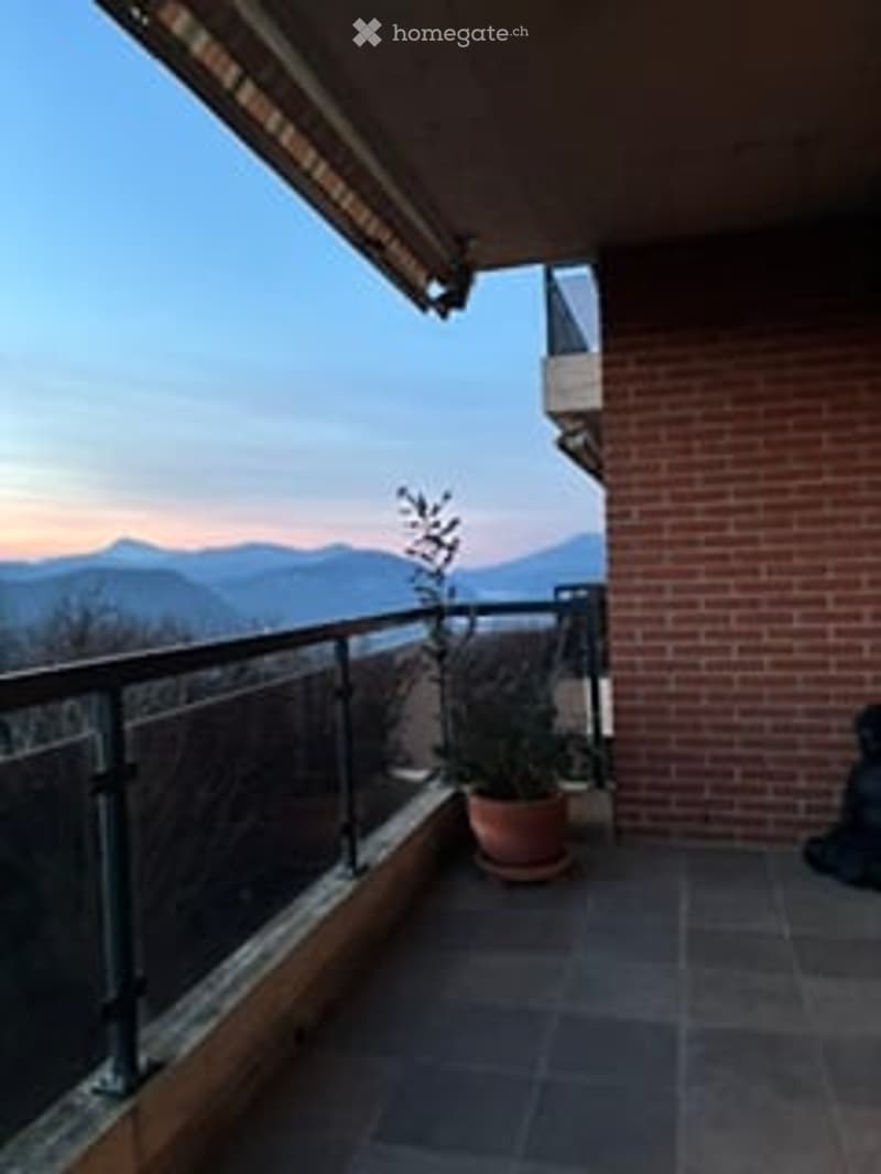 Balcony with a view of mountains, featuring a potted plant and a metal railing.