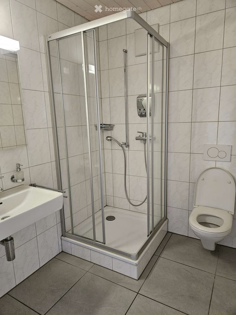 Modern bathroom with a white tiled shower enclosure, a sink with a mirror, and a toilet. The shower features a handheld sprayer and a built-in shelf. The walls and floor are tiled in a light, neutral color.