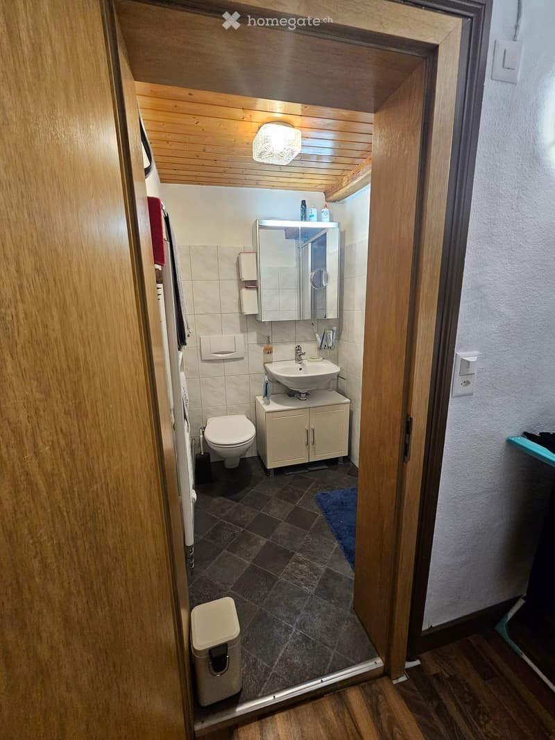 Compact bathroom with a toilet, sink, mirror, and cabinet. Features wooden paneling on the walls and ceiling, tiled floor, and a small blue rug.