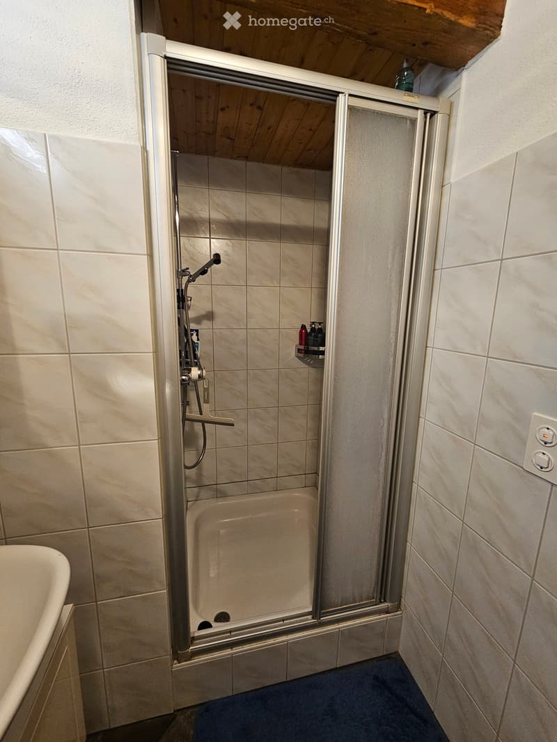 Modern bathroom with a bathtub, walk-in shower, tiled walls, and a shower rack holding toiletries.