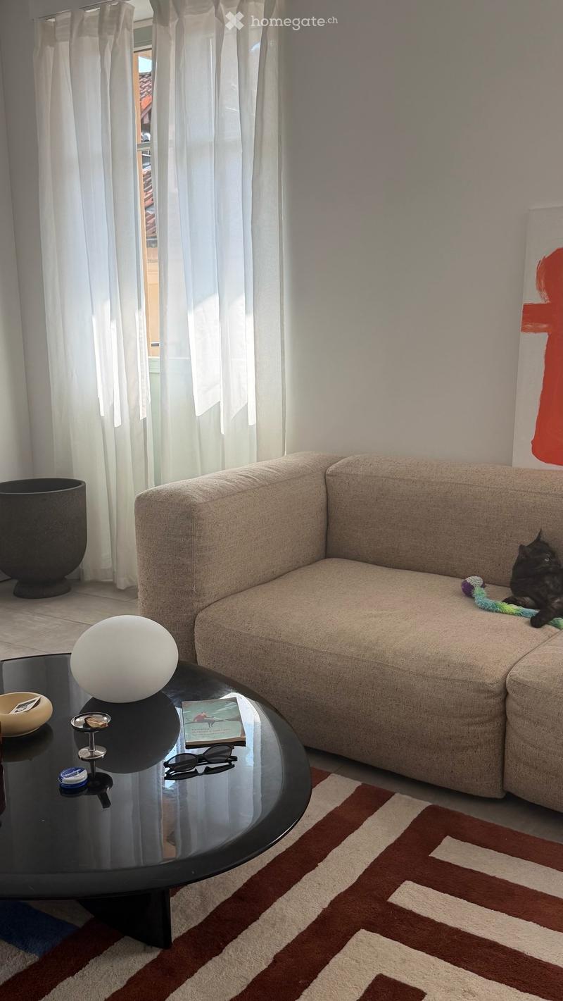 Splendido 3 locali di 88 m² nel cuore di Locarno (3)