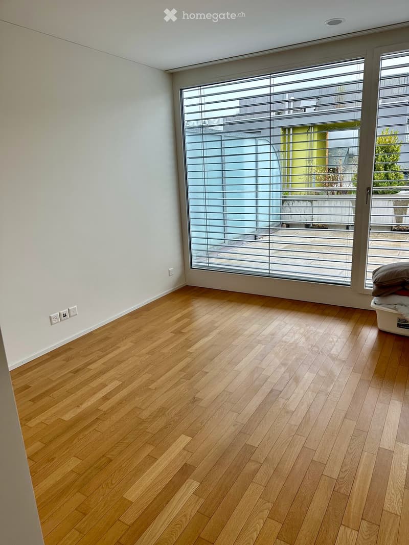 Attikawohnung im Herzen von Baden (6)