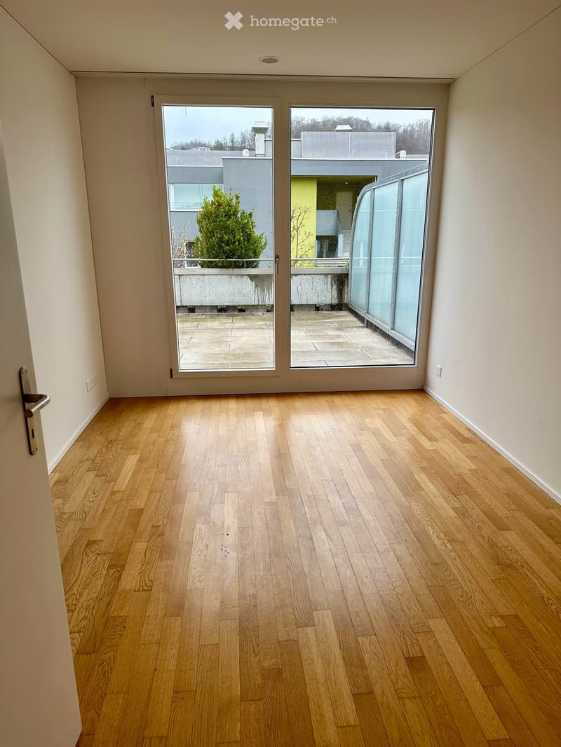 Attikawohnung im Herzen von Baden (5)