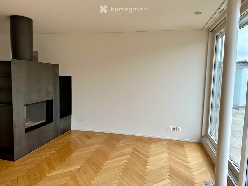 Attikawohnung im Herzen von Baden (2)