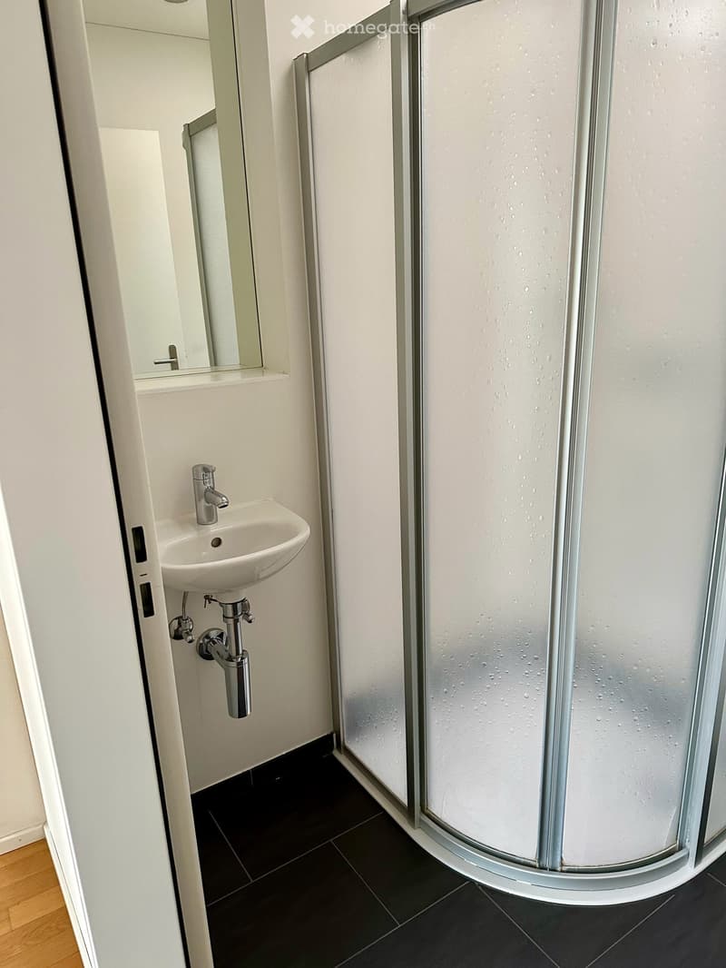Attikawohnung im Herzen von Baden (9)