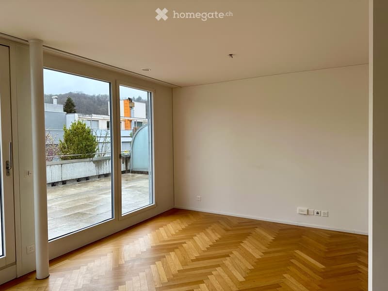 Attikawohnung im Herzen von Baden (4)