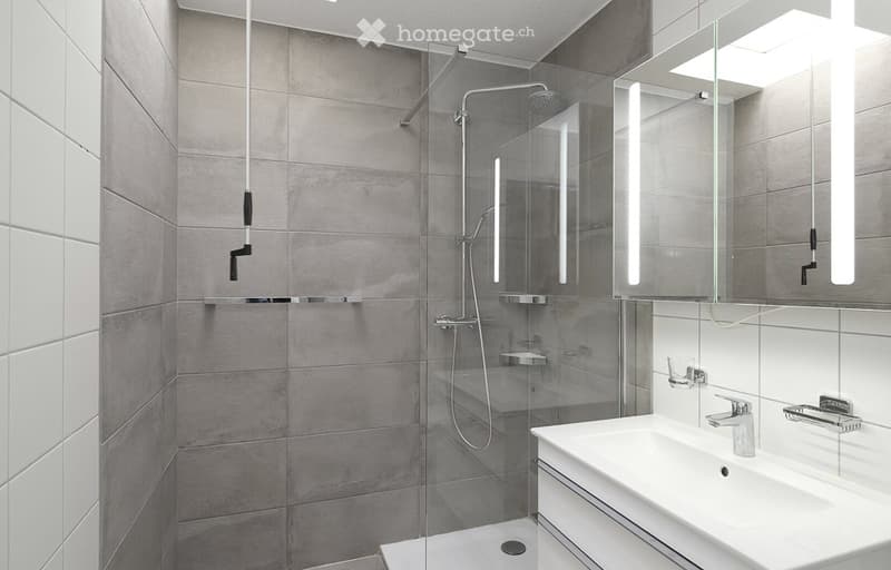Modern bathroom with a white sink, chrome faucet, large mirror, and a glass-enclosed shower with a handheld showerhead.