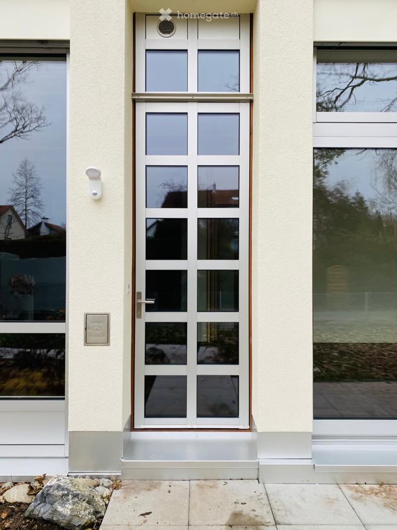 Modern entrance door with glass panels and brass handle, set in a light-colored building facade with a small step leading up to it.