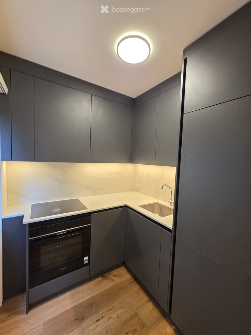 Modern kitchen with dark grey cabinets, white marble countertop, induction cooktop, built-in oven, and stainless steel sink.