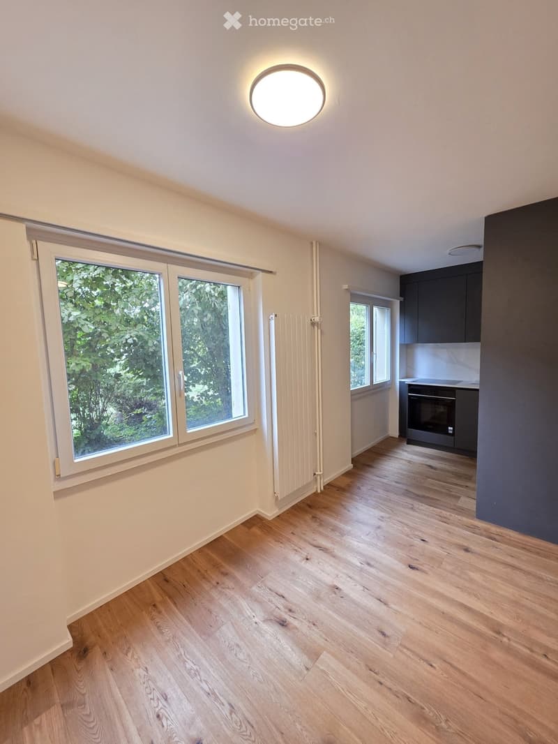 Empty room with light wooden flooring, white walls, large windows with a view of greenery, and a radiator. A small kitchen area is visible in the background with dark cabinets and an oven.