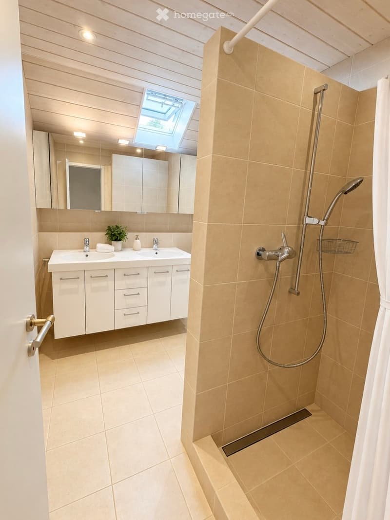 Modern bathroom with a double sink, large mirror, and a walk-in shower with a glass door. Features include a skylight window, beige tiles, and a small plant on the counter.