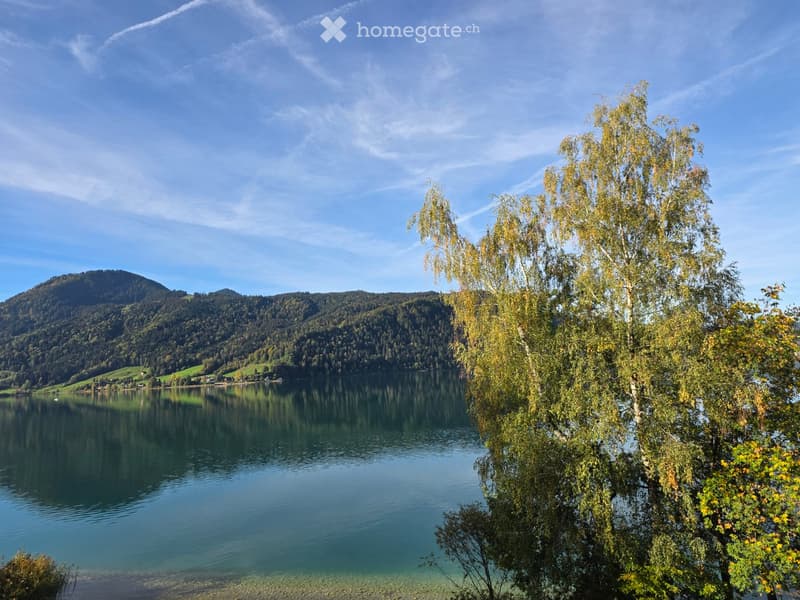 A serene lake surrounded by lush green trees and mountains under a clear blue sky.