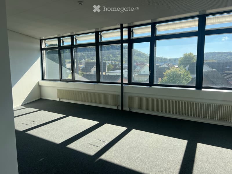 Empty room with large windows, radiators, and a carpeted floor. No furniture or equipment present.