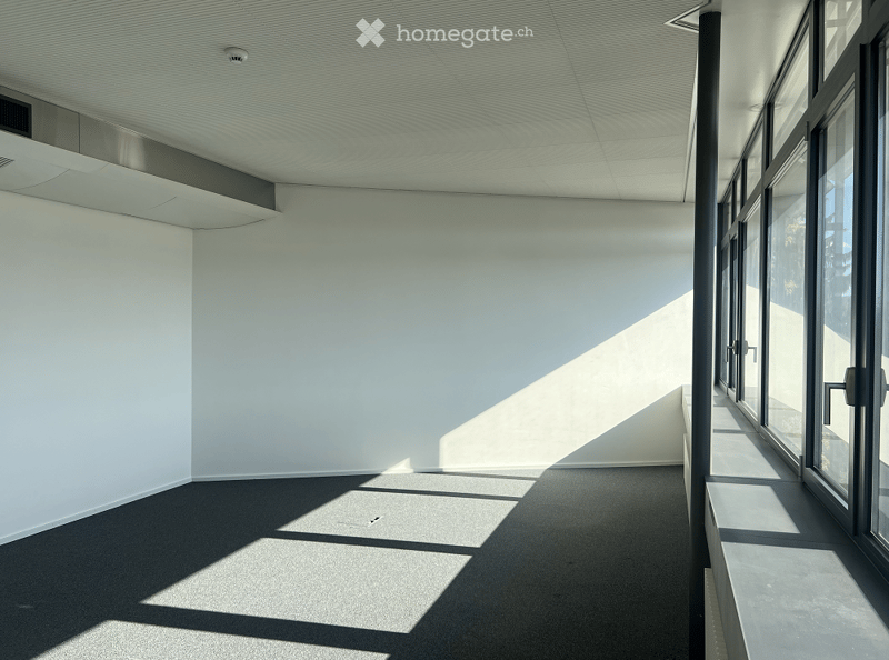 Empty room with white walls, dark flooring, and large windows allowing natural light to create geometric shadows on the floor.