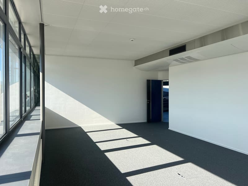Empty room with white walls, grey carpet, large windows, and a closed door leading to another space.