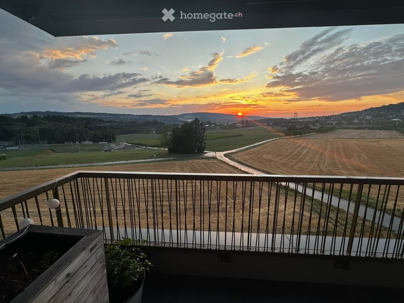 Balcony with wooden railing, potted plants, and a scenic view of a sunset over fields and a town.