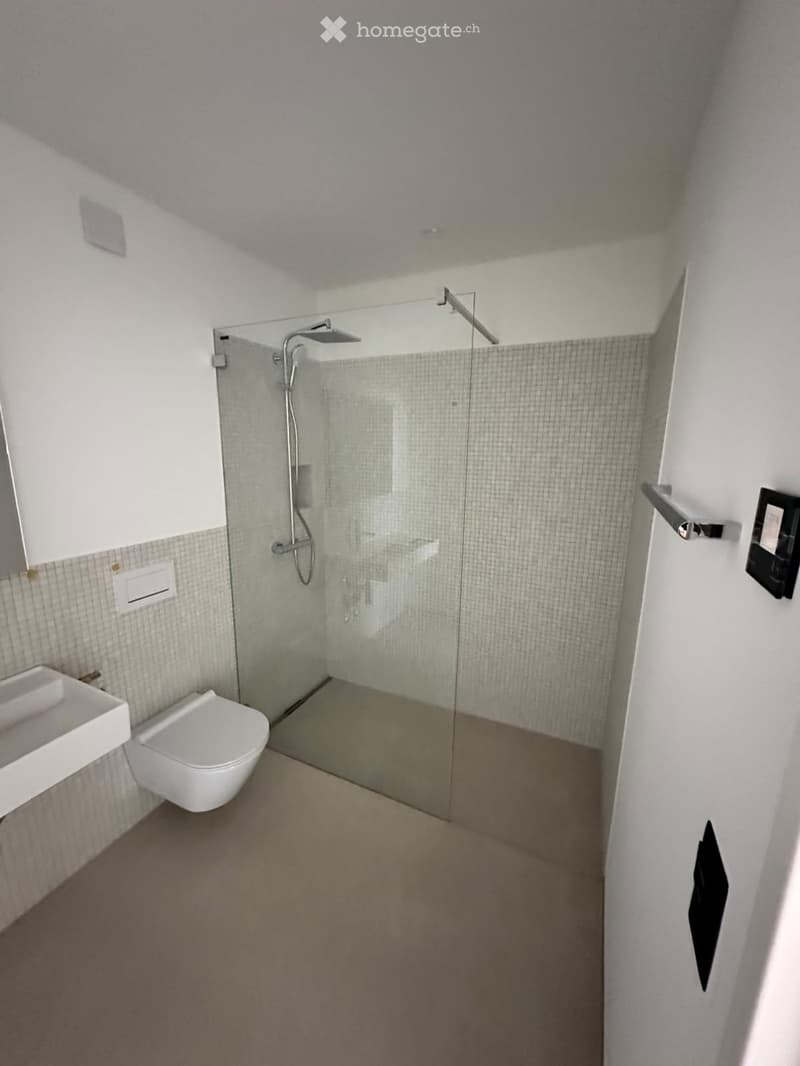 Modern bathroom with a glass-enclosed shower, toilet, and sink. The walls are tiled, and the floor is carpeted.