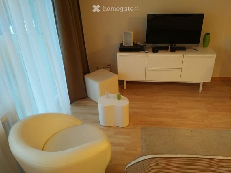Modern living room with a white TV stand, sofa, coffee table, and decorative items.