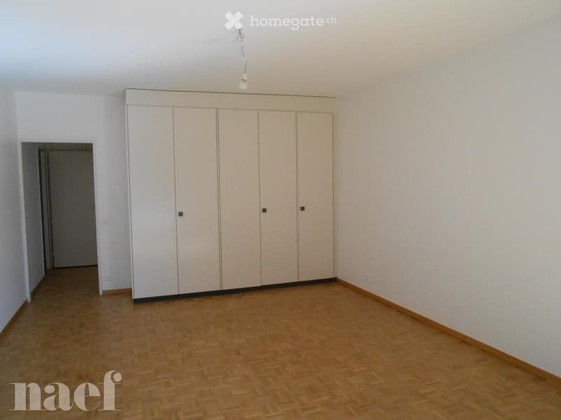 Empty room with light-colored walls, wooden flooring, and a large built-in wardrobe unit.