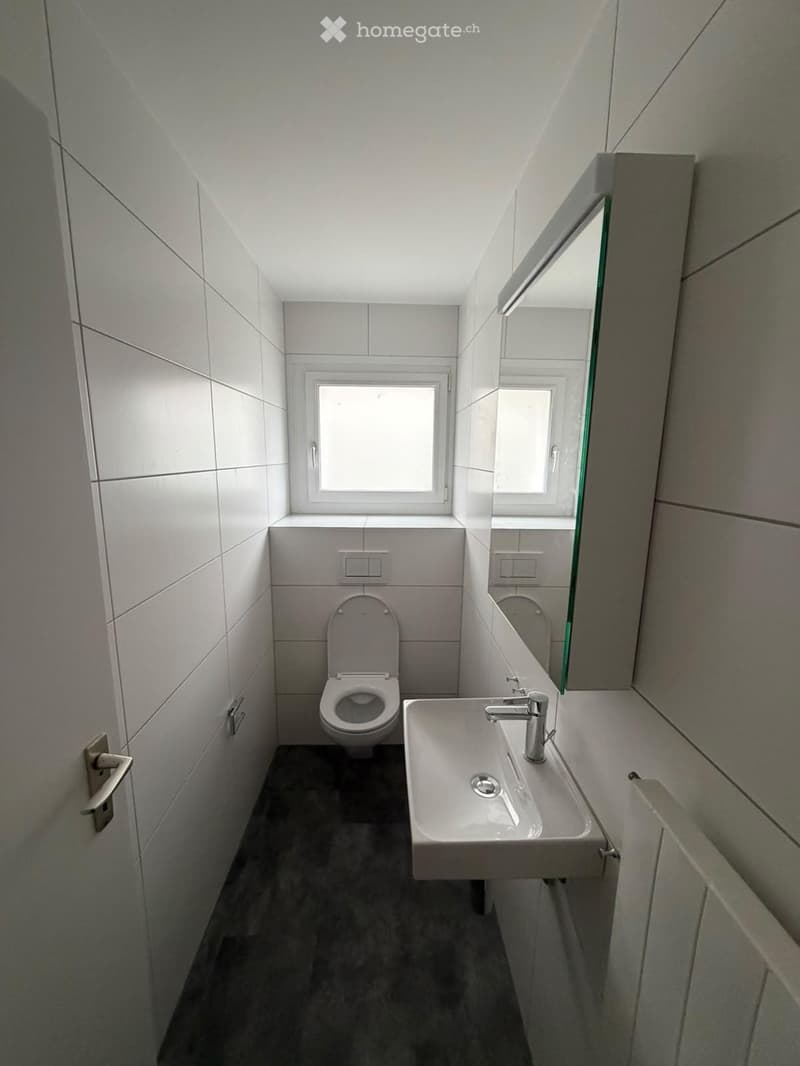 Modern bathroom with white tiles, a toilet, a sink with a modern faucet, and a large mirror above the sink. The room has two windows providing natural light.