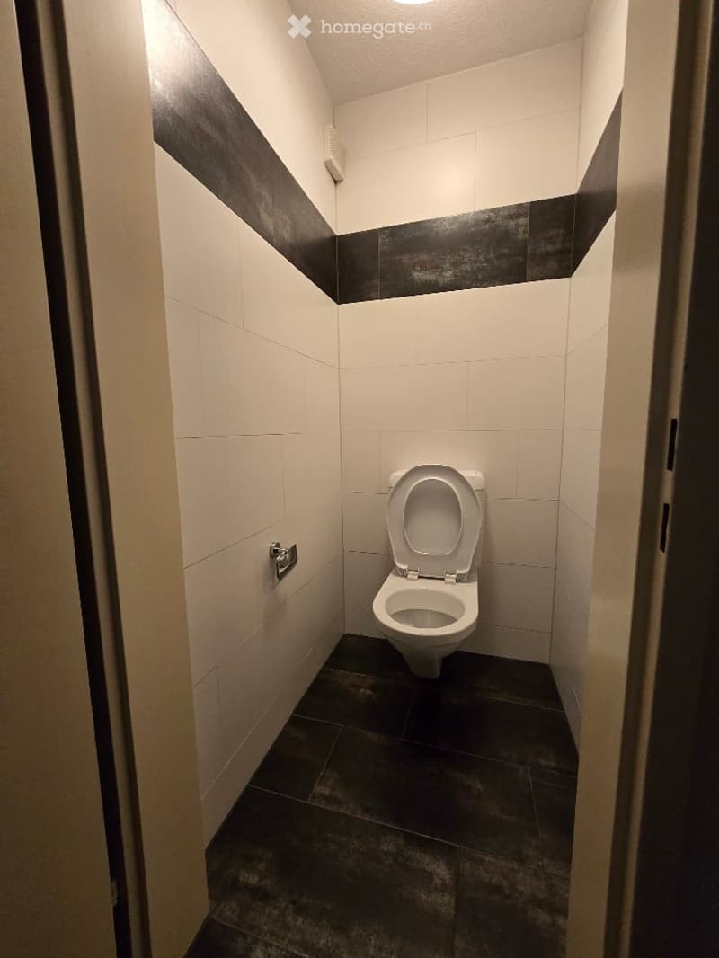 Modern bathroom with white tiled walls, dark tiled floor, and a toilet with the lid up.