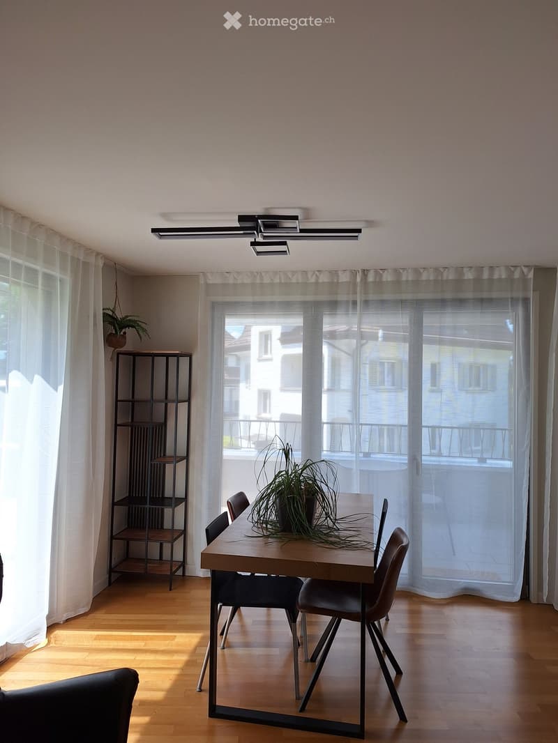 Bright dining area with wooden table, chairs, shelf, and potted plant near large window with balcony access.